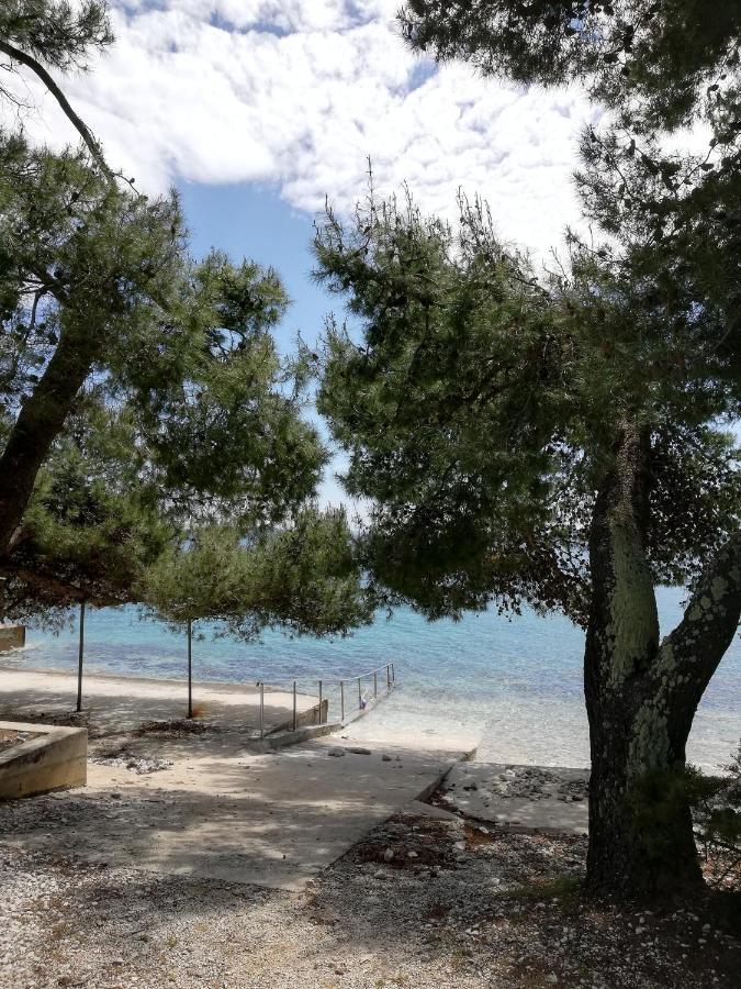 Apartmani Matas Petrcane Exteriér fotografie